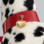 Dalmatien portant un collier rouge avec un médaillon doré personnalisé