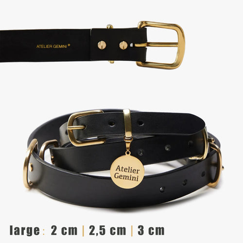 Collier pour chien personnalisé noir en cuir premium avec boucles en laiton