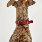 Grand chien portant un collier rouge en cuir fait main