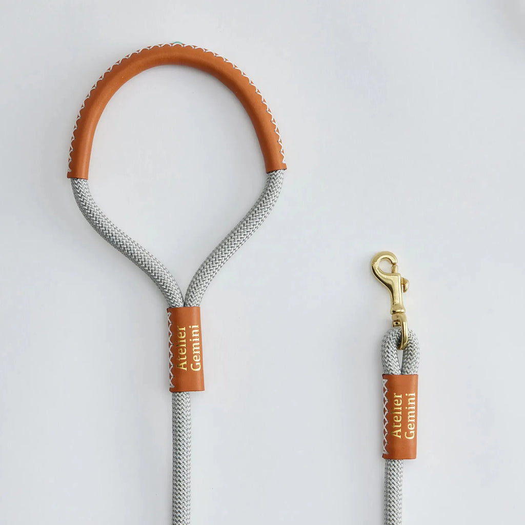 Laisse Chien Premium Nylon Cuir et Laiton