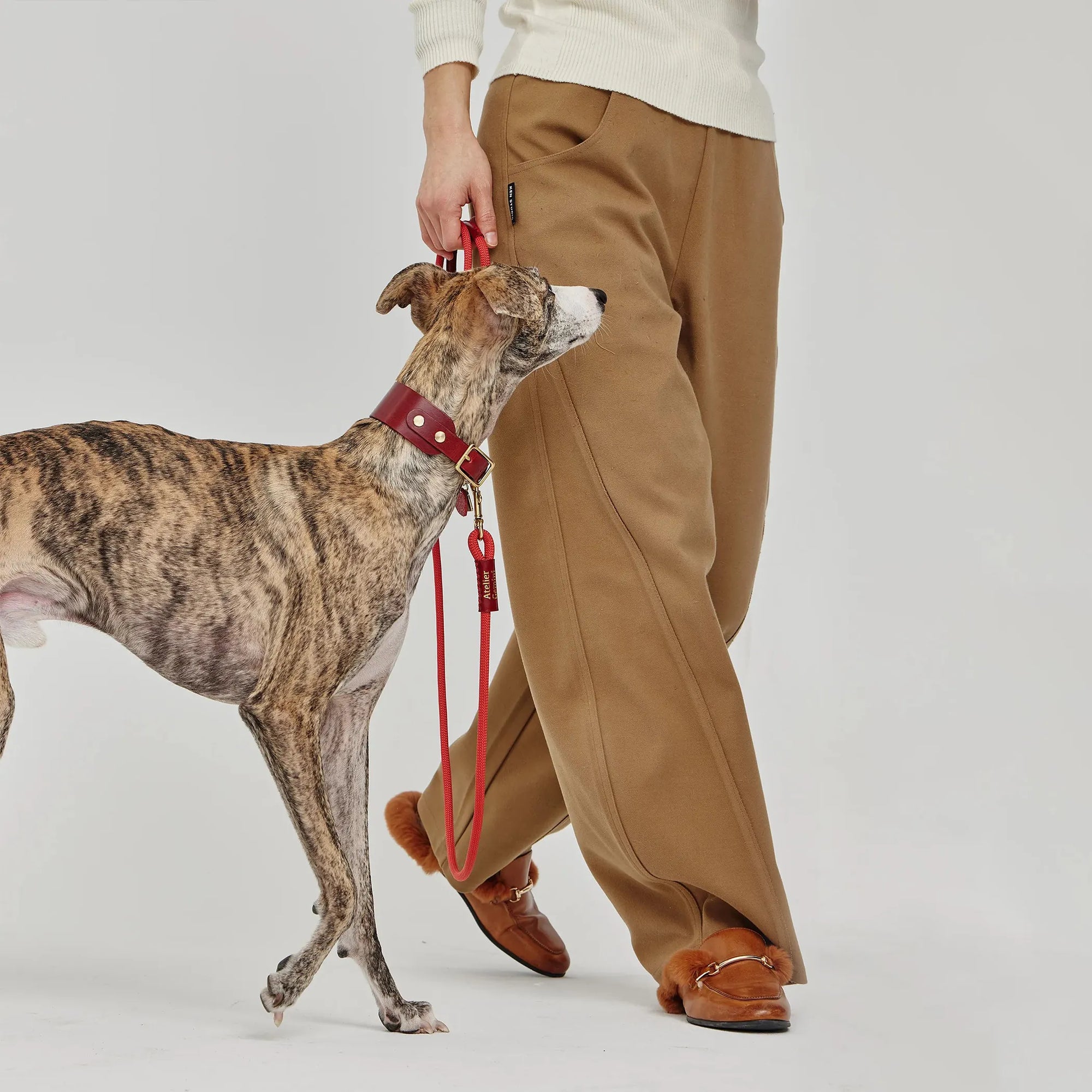 Laisse pour Chien en Nylon et Cuir Tanné Végétal