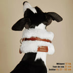 Vue arrière d'un Whippet portant un collier en cuir pelucheux couleur café