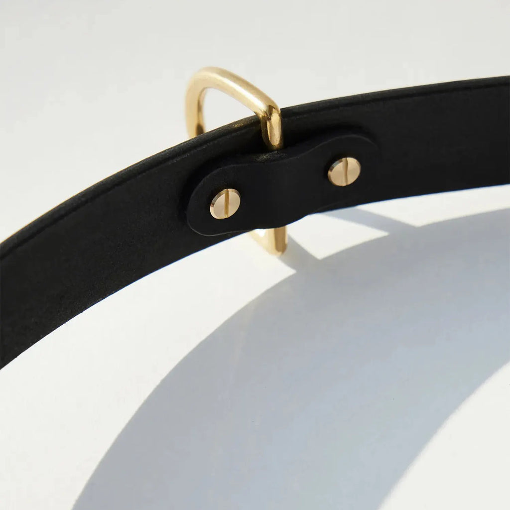 Détail du métal doré sur collier chien en cuir noir premium